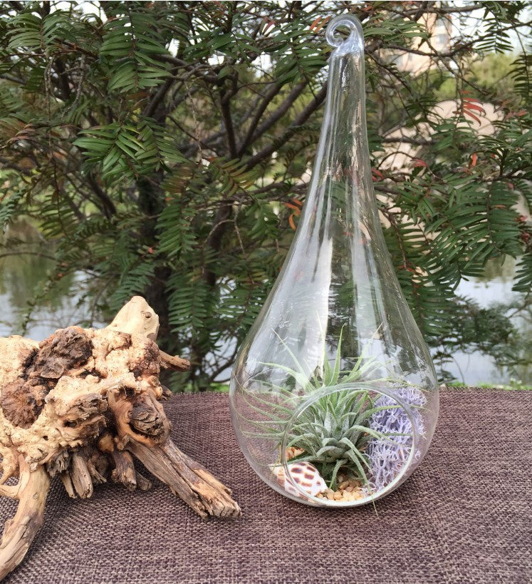 Set of 10 Teardrop-Shaped Clear Glass Tealight Holders - 20cm High Hanging Terrarium Decor for Plants and Gifts