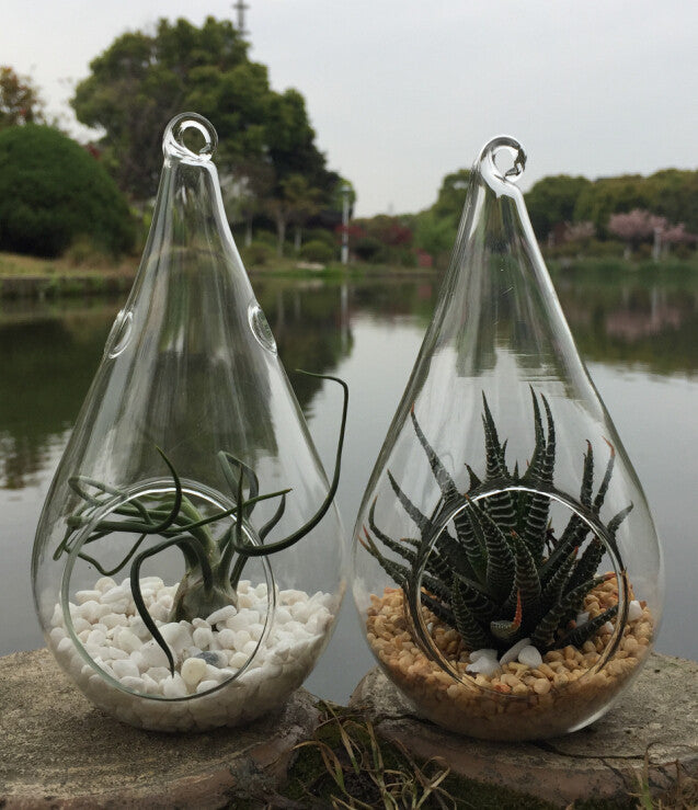 Set of 10 Tear Drop Shaped Hanging Clear Glass Tealight Candle Holders - 12.5cm High - Ideal for Terrariums and Mini Garden Decor