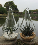 Set of 10 Tear Drop Shaped Hanging Clear Glass Tealight Candle Holders - 12.5cm High - Ideal for Terrariums and Mini Garden Decor