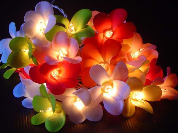 20 LED Tropical Frangipani Flower String Lights ? Battery-Operated Fairy Lights for Home, Wedding, and Party Decoration