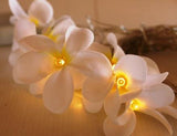 20 LED White Frangipani Flower Fairy Lights - Battery-Powered String Lights for Home, Wedding, Beach Party, and Outdoor Decor - 45-Degree Angle
