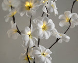 1 Set of 50cm H 20 LED White Frangipani Tree Branch Stem Fairy Light Wedding Event Party Function Table Vase Centrepiece Decoration - Front View