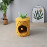 CATIO Pineapple Cat House - Side View