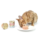 CAT FOREST Premium Tuna White Meat With Mussel In Gravy Cat Canned Food 85G X 24 - Top-Down View