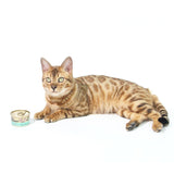 CAT FOREST Premium Tuna White Meat With Mussel In Gravy Cat Canned Food 85G X 24 - 45-Degree Angle