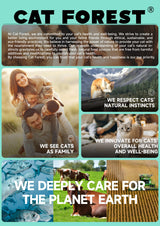 CAT FOREST Premium Tuna White Meat With Mussel In Gravy Cat Canned Food 85G X 24 - Low Angle