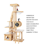 HONEYPOTCAT Regal Wood Retreat - 195cm - Top-Down View