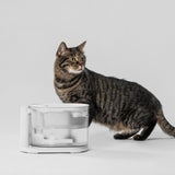 PIDAN Water Fountain With Heating Function - Top-Down View