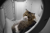 PIDAN Wheeled Pet Carrier Ventilation Type - Side View