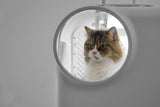 PIDAN Wheeled Pet Carrier Ventilation Type - Top-Down View