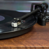 Crosley C62 Shelf System - Walnut - Top-Down View
