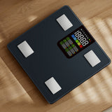 HALO Bluetooth Smart Display Body Scale - Top-Down View