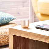 Lexon Mino+ Mini Bluetooth Speaker - Gold - Rear View