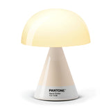 Lexon GIFT Set PANTONE - Includes Mino+ Mini Speaker, Flip Classic Clock, Mina M Lamp, Thykho 3  Speaker - Sand - Rear View