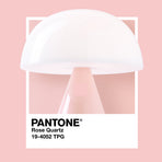Lexon Mina M Medium Portable Led Lamp PANTONE - Rose Pink