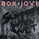 Bon Jovi Slippery When Wet - Vinyl Album & Crosley Record Storage Display Stand - Top-Down View