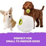 Automatic Ball Launcher Throwing Machine Dog Toys Interactive Tennis Pet 3Balls - Extra Image