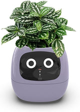 Intelligent Flower Pot, Electronic Bud, Maintenance Plant Assistant, Fun Interactive Flower Pot, Indoor Green Planting Monitoring, LCD Screen Display, Cell Phone APP Connection (Purple)