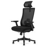 Lifespan Fitness DM9 Ergonomic Mesh High Back Office Chair - Front View