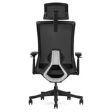 Lifespan Fitness DM9 Ergonomic Mesh High Back Office Chair - 45-Degree Angle