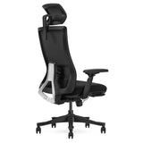 Lifespan Fitness DM9 Ergonomic Mesh High Back Office Chair - Rear View