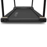 Lifespan Fitness Reformer 2 Safety Rehabilition Treadmill - Extra Image
