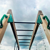 Lifespan Kids Daintree 2-in-1 Monkey Bars & Swing Set - Close-Up Angle
