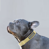 Natural Hemp & Cotton Dog Collar (Grass Green) - Front View