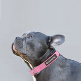 Natural Hemp & Cotton Dog Collar (Pretty Pink) LARGE - Front View