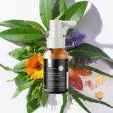 Herbal Plus Dog Ear Cleaner (Witch Hazel, Aloe & Lemon Myrtle) - Top-Down View