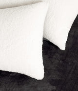 Teddy Sherpa Twin-Pack European Pillowcases - Soft Reversible Velvet & Sherpa Cushion Covers - Machine Washable with Zipper Closure -  65x65cm - Charcoal - Top-Down View