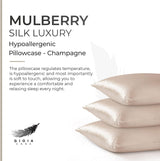 Luxury Pillowcase - 100% Pure Mulberry Silk on Both Sides - Champagne - Front View