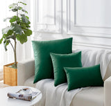 Twin-Pack Velvet Cushion Covers - Soft Microfibre Cushion Covers with Hidden Zipper (Emerald Green, 30cm*50cm) - Top-Down View