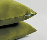 Twin-Pack Velvet Cushion Covers - Soft Microfibre Cushion Covers with Hidden Zipper (Green, 30cm*50cm) - Side View