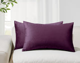 Twin-Pack Velvet Cushion Covers - Soft Microfibre Cushion Covers with Hidden Zipper (Plum, 30cm*50cm)