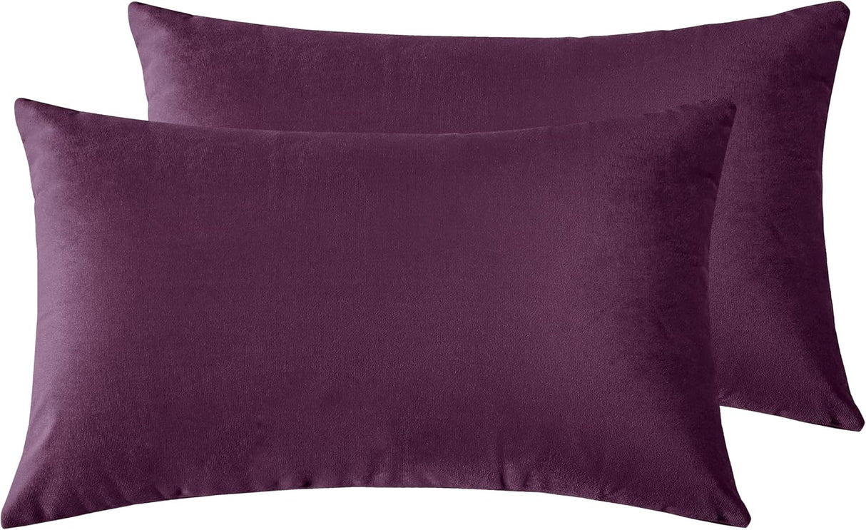 Twin-Pack Velvet Cushion Covers - Soft Microfibre Cushion Covers with Hidden Zipper (Plum, 30cm*50cm)