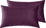 Twin-Pack Velvet Cushion Covers - Soft Microfibre Cushion Covers with Hidden Zipper (Plum, 30cm*50cm) - Front View