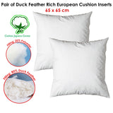 Pair of Duck Feather Rich Fill European Cushion Inserter 65 x 65 cm - Front View