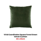 Bianca Vivid Coordinates Square Forest Green Velvet Cushion - Front View