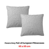 Bianca Pair of Pesaro Grey European Pillowcases 65 x 65cm - Front View