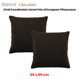 Bianca Pair of Vivid Coordinates Velvet European Pillowcases Chocolate 65 x 65cm - Front View