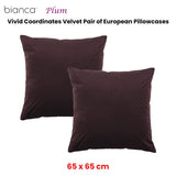Bianca Pair of Vivid Coordinates Velvet European Pillowcases Plum 65 x 65cm - Front View