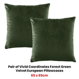 Bianca Pair of Vivid Coordinates Forest Green Velvet European Pillowcases - Front View
