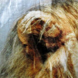 800GSM Luxury Reversible Animal Pattern Mink Blanket Queen 200 x 240 cm Lion Tiger Brown - Side View