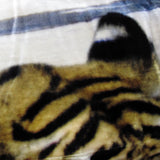 800GSM Luxury Reversible Animal Pattern Mink Blanket Queen 200 x 240 cm Three Tigers Blue - Top-Down View