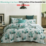 100% Cotton Lightly Quilted Coverlet Set Blooming Cactuses Cream Queen - Front View