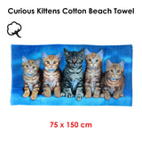 Curious Kittens Cotton Beach Towel - Front View