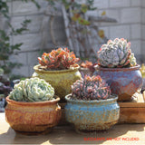 4/5/6 Pots Set Ceramic Clay Pottery Pots Succulent Flower Planter Draining Hole(Style 01# 4 Pots Set) - Side View