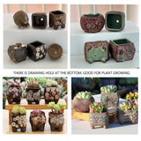 4/5/6 Pots Set Ceramic Clay Pottery Pots Succulent Flower Planter Draining Hole(Style 02# 4 Pots Set) - Rear View