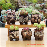 4/5/6 Pots Set Ceramic Clay Pottery Pots Succulent Flower Planter Draining Hole(Style 04# 6 Pots Set) - Side View